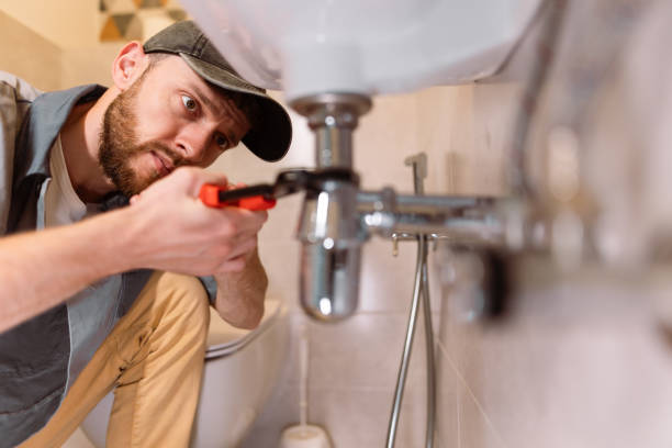 Best Toilet Repair Services  in Schuylkill Haven, PA